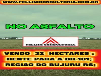 Fazenda para Venda, em S�o Jos� do Norte, bairro 