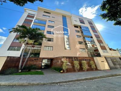 Apartamento para Venda, em Ipatinga, bairro Igua�u, 2 dormit�rios, 1 banheiro, 1 vaga