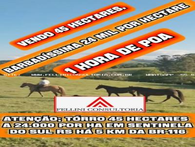 Fazenda para Venda, em Sentinela do Sul, bairro INTERIOR