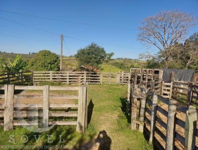 S�tio para Venda, em Anhembi, bairro zona rural, 2 dormit�rios, 1 banheiro