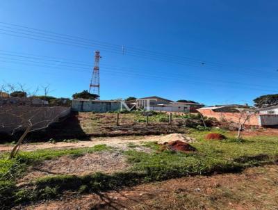 Terreno para Venda, em Arapoti, bairro Vila Rudy
