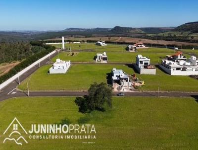 Lote para Venda, em Anal�ndia, bairro Rural / est�ncai Cavalinno