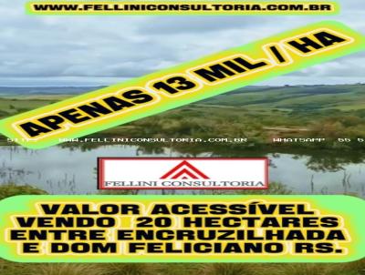 Fazenda para Venda, em Dom Feliciano, bairro 