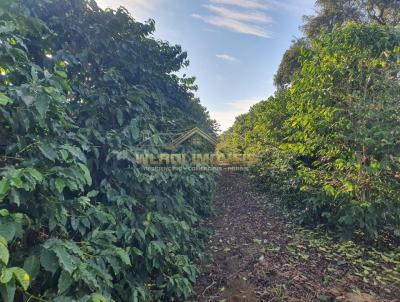 S�tio para Venda, em Socorro, bairro 