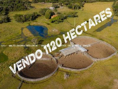 Fazenda para Venda, em S�o Jos� do Norte, bairro INTERIOR