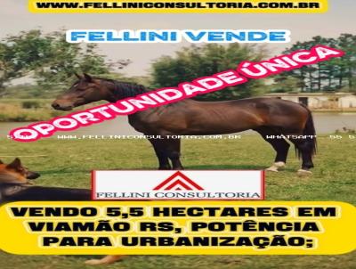 S�tio para Venda, em Viam�o, bairro INTERIOR