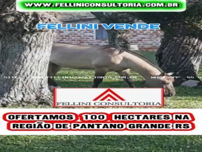 Fazenda para Venda, em P�ntano Grande, bairro INTERIOR