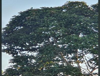 Casa para Venda, em Guajar�-Mirim, bairro , 3 dormit�rios, 1 banheiro, 2 su�tes, 6 vagas