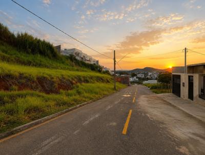 Terreno para Venda, em Muria�, bairro Vila Real
