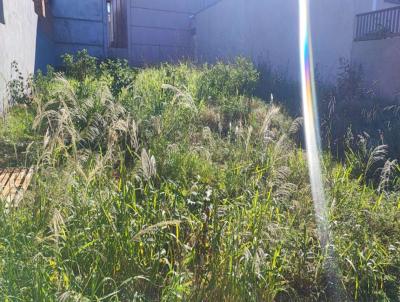 Terreno para Venda, em Santa Rosa, bairro 
