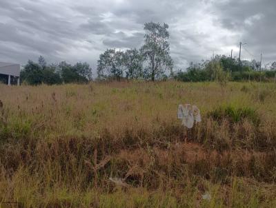 Terreno Residencial para Venda, em Casimiro de Abreu, bairro Vila Verde