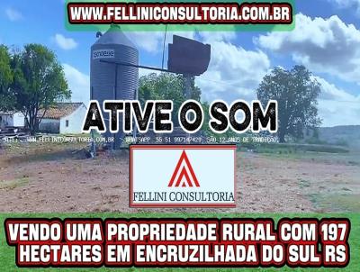 Fazenda para Venda, em Encruzilhada do Sul, bairro INTERIOR