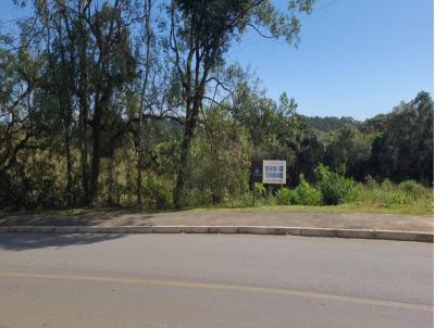 Terreno Comercial para Venda, em Pi�n, bairro trigolandia