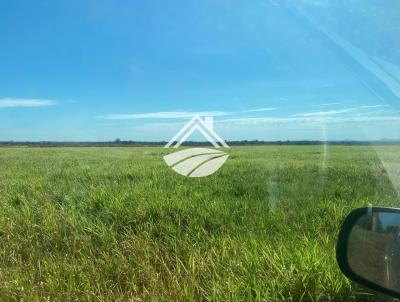 Fazenda para Loca��o, em Santa Maria das Barreiras, bairro �rea rural de ampla expans�o agropecu�ria
