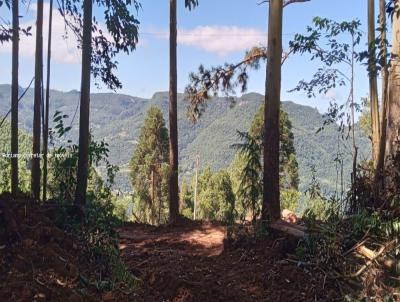 �rea para Venda, em Nova Petr�polis, bairro Linha Brasil