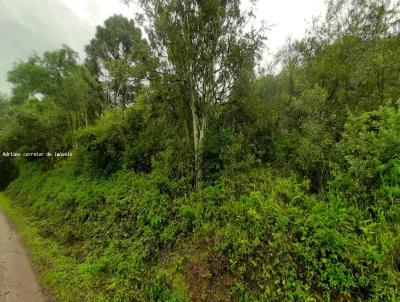 �rea para Venda, em Nova Petr�polis, bairro S�o Jac�