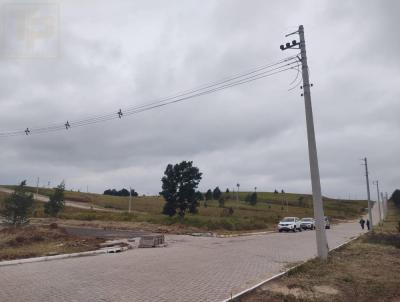 Terreno para Venda, em Sapiranga, bairro S�o Jac�