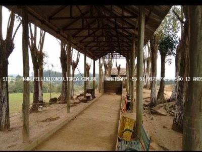 S�tio para Venda, em Gua�ba, bairro INTERIOR