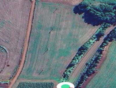 �rea Agr�cola para Venda, em Tuparendi, bairro Campininha