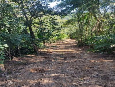 Terreno para Venda, em S�o Bento do Sul, bairro Serra Alta