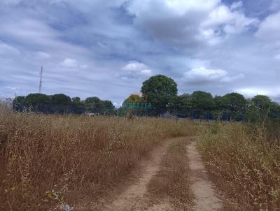 Terreno para Venda, em Mossor�, bairro Costa e Silva