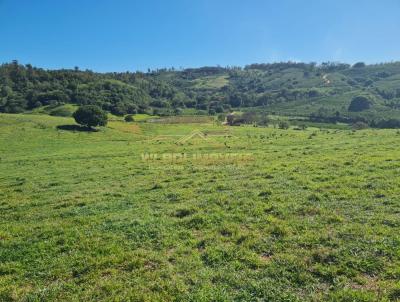 Fazenda para Venda, em Jacutinga, bairro 2 km da cidade