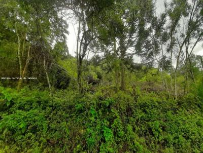 �rea para Venda, em Nova Petr�polis, bairro S�o Jac�