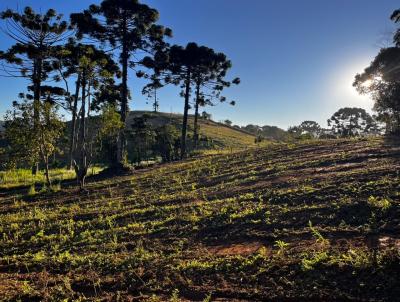 Terreno Rural para Venda, em Senador Amaral, bairro 