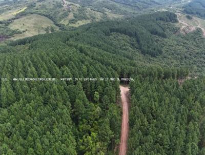 Fazenda para Venda, em Encruzilhada do Sul, bairro INTERIOR