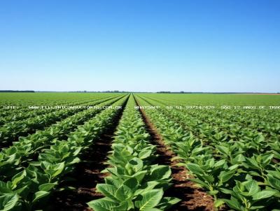 Fazenda para Venda, em , bairro PA�S PARAGUAI