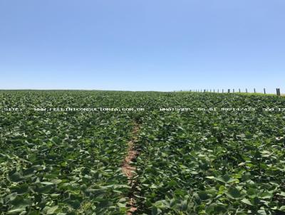 Fazenda para Venda, em Lavras do Sul, bairro INTERIOR