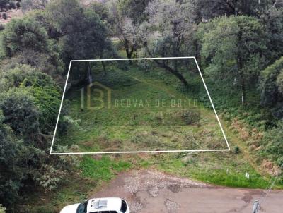 Terreno para Venda, em Erechim, bairro Estevam Carraro