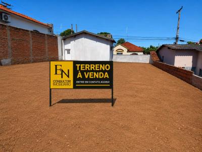 Terreno para Venda, em Lins, bairro Ribeiro