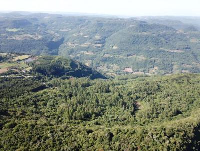 �rea para Venda, em Nova Petr�polis, bairro Linha Brasil
