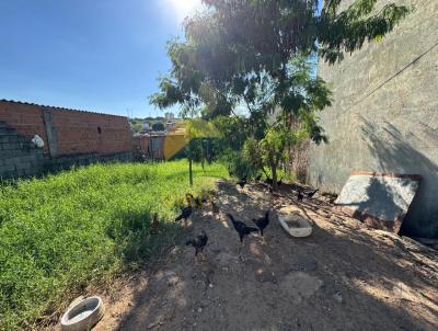 Terreno para Venda, em Campinas, bairro Cidade Sat�lite �ris