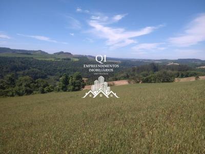 �rea Rural para Venda, em Viadutos, bairro Interior