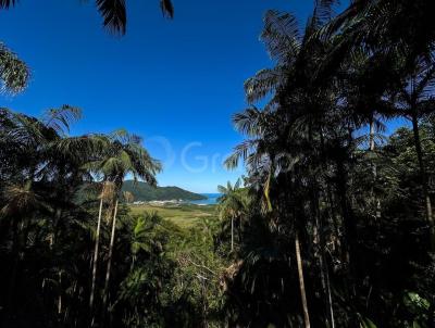 Terreno para Venda, em Florian�polis, bairro P�ntano do Sul