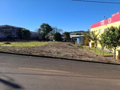 Terreno para Venda, em S�o Jos� do Cedro, bairro SEM INFORMA��O
