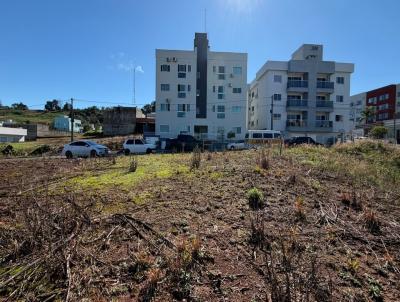 Terreno para Venda, em Xanxer�, bairro Jardim Taruma