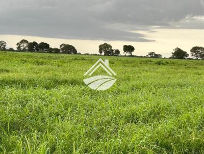 Fazenda para Venda, em Aragua�u, bairro 