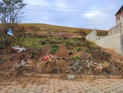 Lote para Venda, em Vi�osa, bairro SILVESTRE