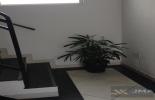 Foto 02