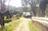 Foto 01