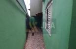 Foto 03