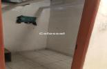 202503201711335894.jpeg