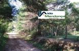 Foto 43