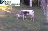 Foto 04