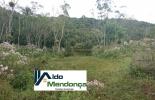 Foto 51
