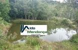 Foto 48