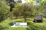 Foto 33